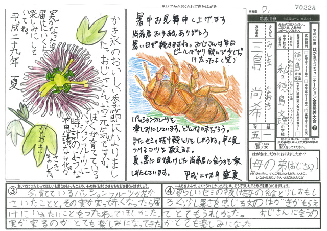 Ｄブロック優秀賞　徳島県　徳島文理小学校　５年　三島　尚希