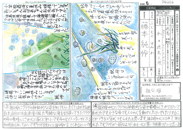 Ｅブロック優秀賞　徳島県　徳島文理小学校　６年　藤本　純怜