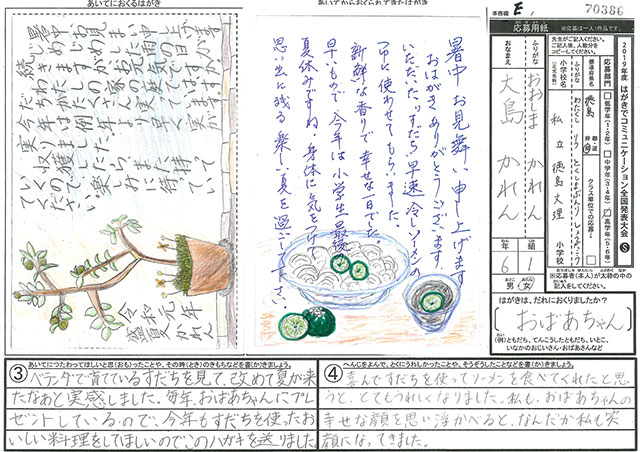 Ｅブロック優秀賞　徳島県　徳島文理小学校　６年　大島　かれん