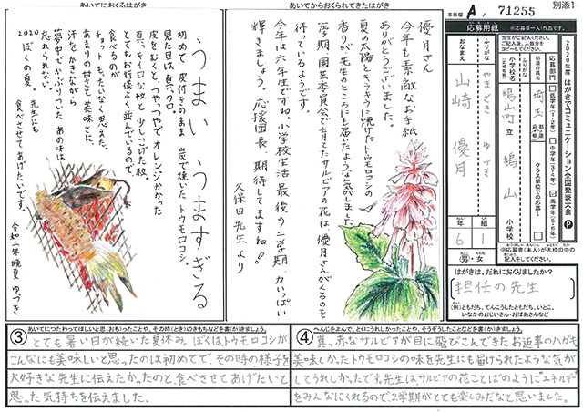 Ａブロック優秀賞　埼玉県　鳩山町立鳩山小学校　６年　山崎　優月